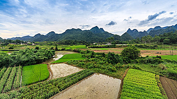 soi cau atrungroi