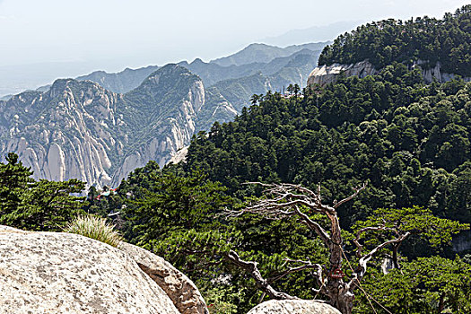 xổ số cần thơ