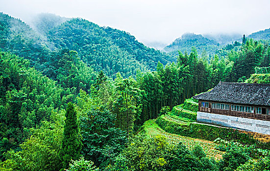 cách soi cầu