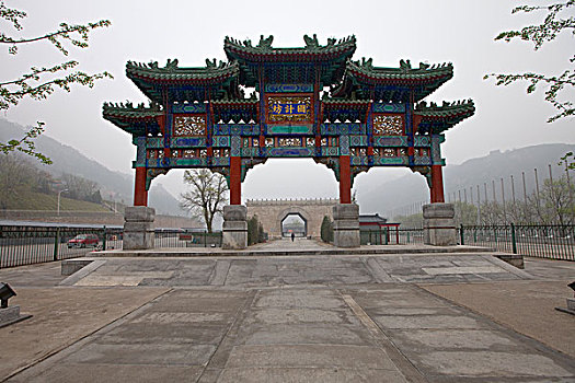 rong bạch kim 88