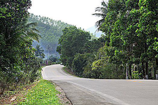 soi cau 366 mien phi