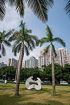 soi cau