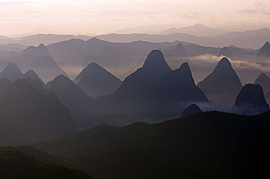 lo rong bach kim