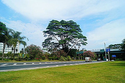 soi lo kep bach thu