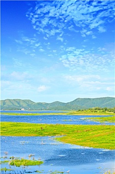 thống kê xổ số quảng ngãi