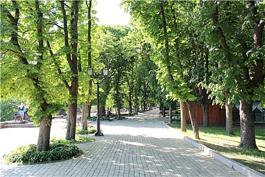 cầu bạch thủ thành phố