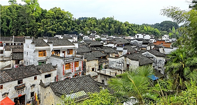 soi lô bạch thủ