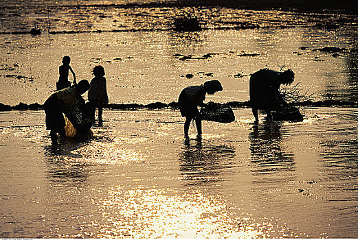 số khánh hòa